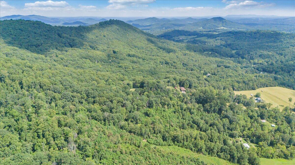 3737 Bore Auger Road Blue Ridge, VA 24064 - Photo 95 of 100 095-DJI_20250821153748_0060_D