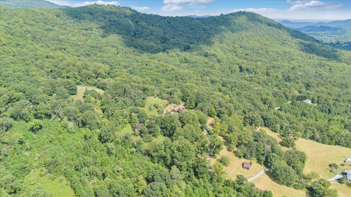 3737 Bore Auger Road Blue Ridge, VA 24064 - Photo 96 of 100 a view of a lush green forest with lush green forest