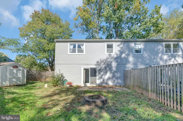 a view of a backyard with plants and large tree