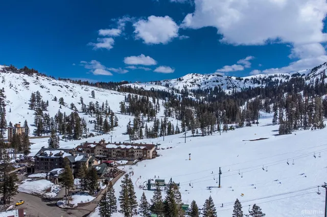a city view with lots of trees