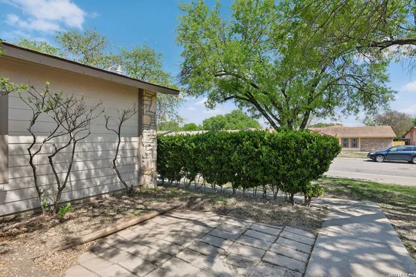 a backyard of a house with plants and trees