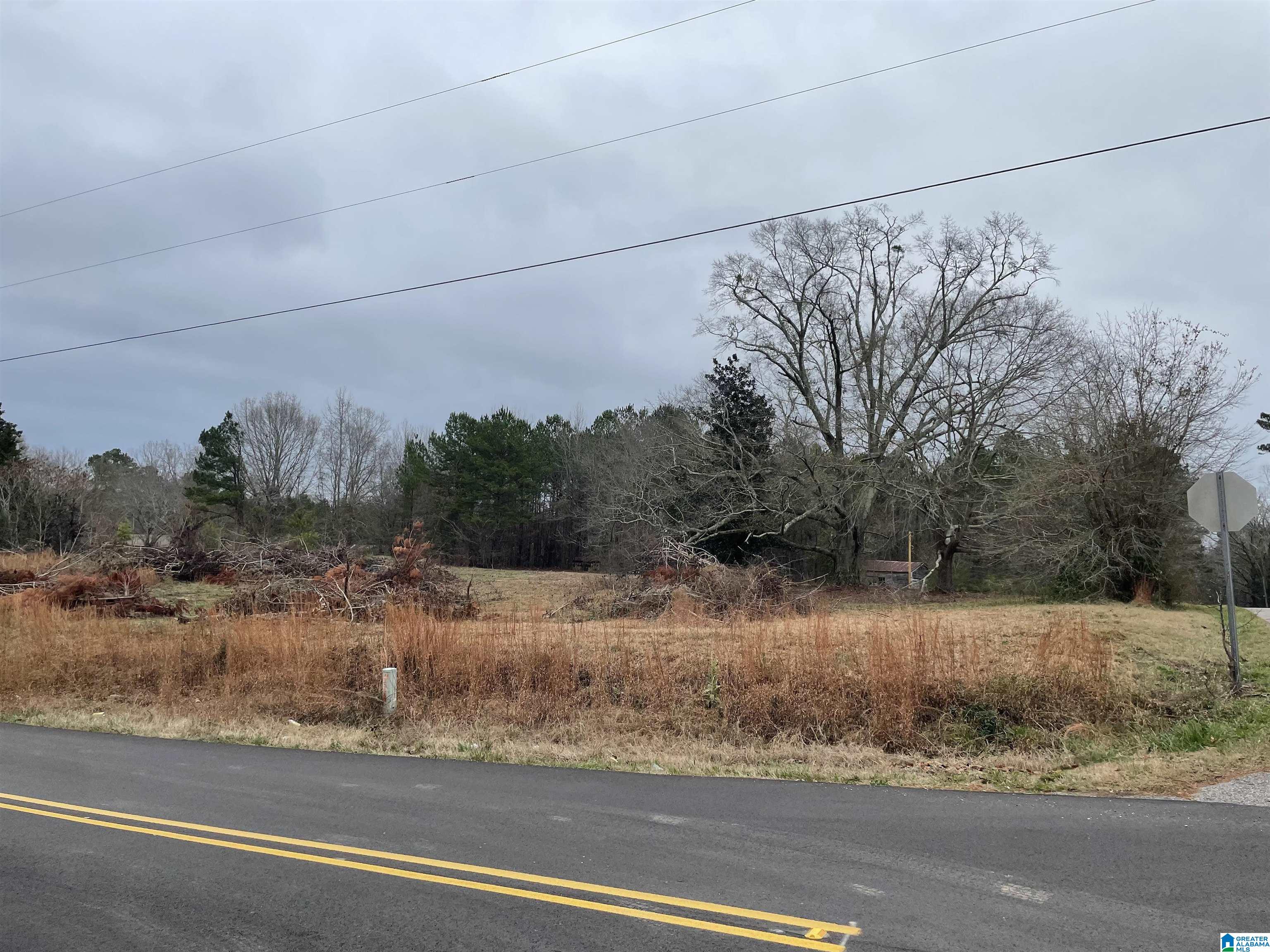 5041 Bryson Road, Unit NA 5041 Dora, AL 35062 - Photo 5 of 8