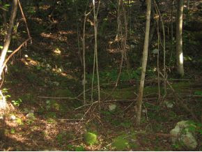 0 Paint Mountain Road, Unit 18 Greeneville, TN 37743 - Photo 8 of 13 Photo 8