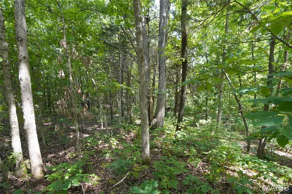 $1,758,750 | 358 Hwy P, Rhineland, MO 65069