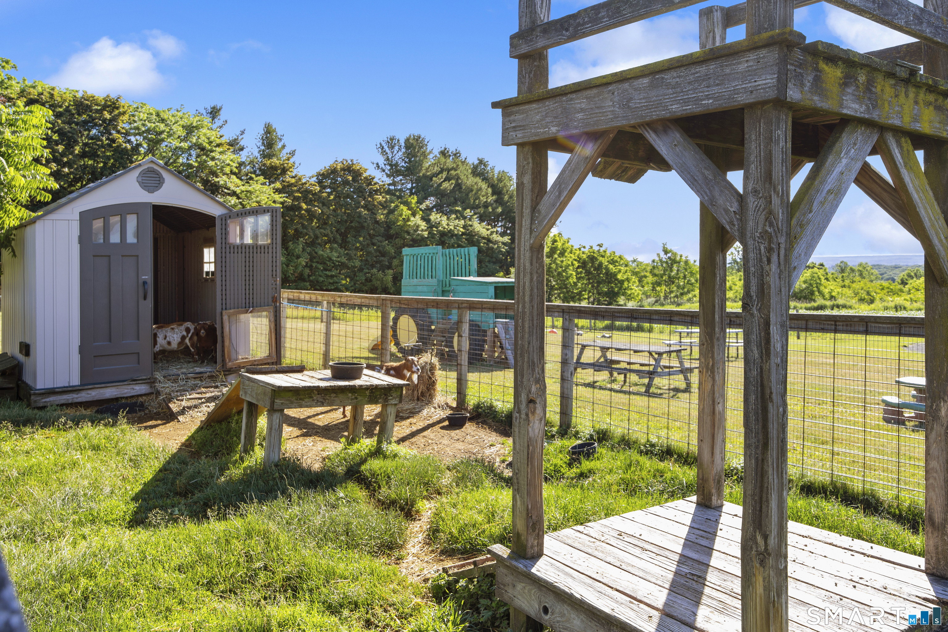 810 Dunbar Hill Road Hamden, CT 06514 - Photo 20 of 40 Goat Pen