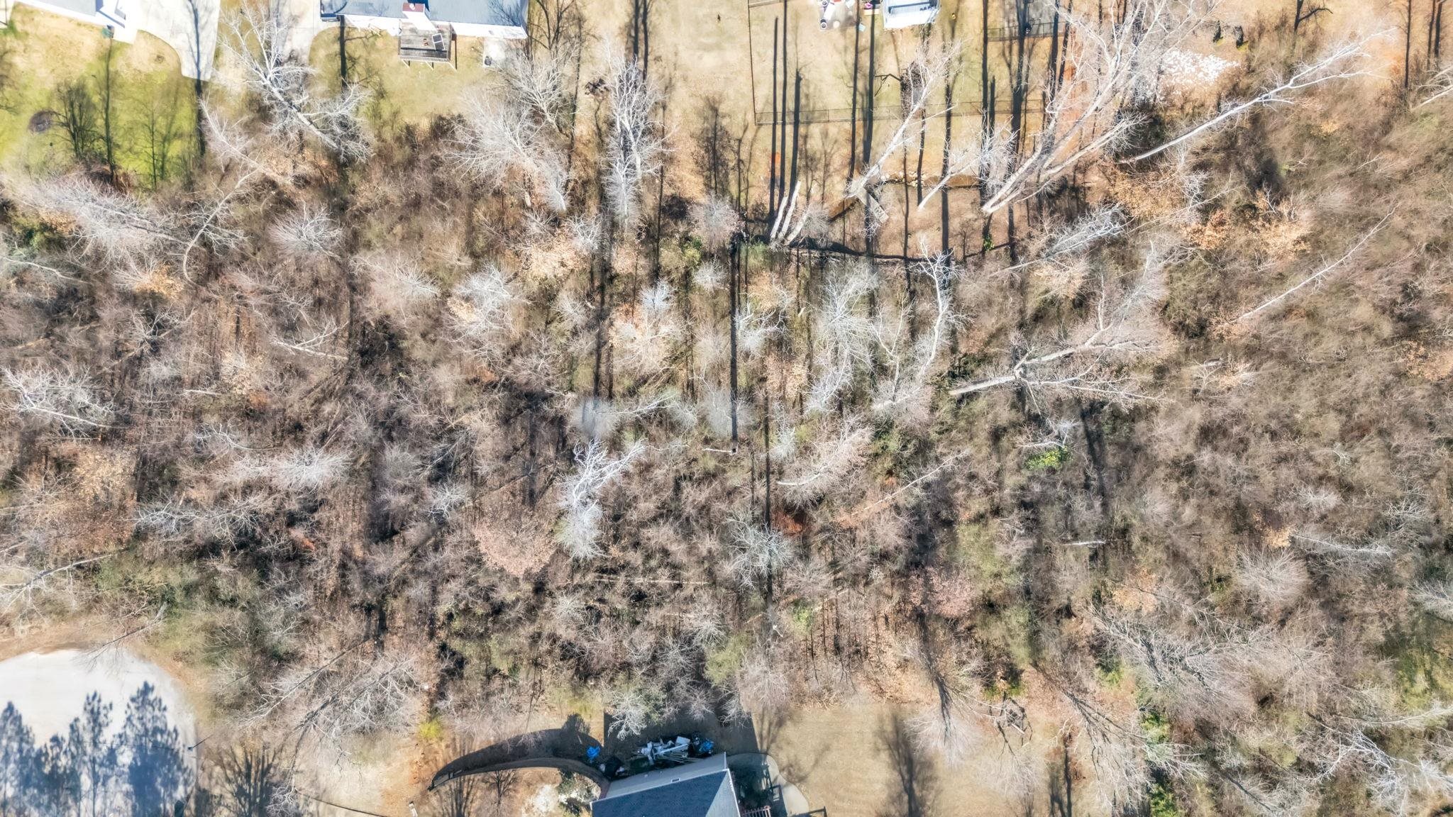 Lot 7 Fiddlers Way Seneca, SC 29678 - Photo 8 of 12