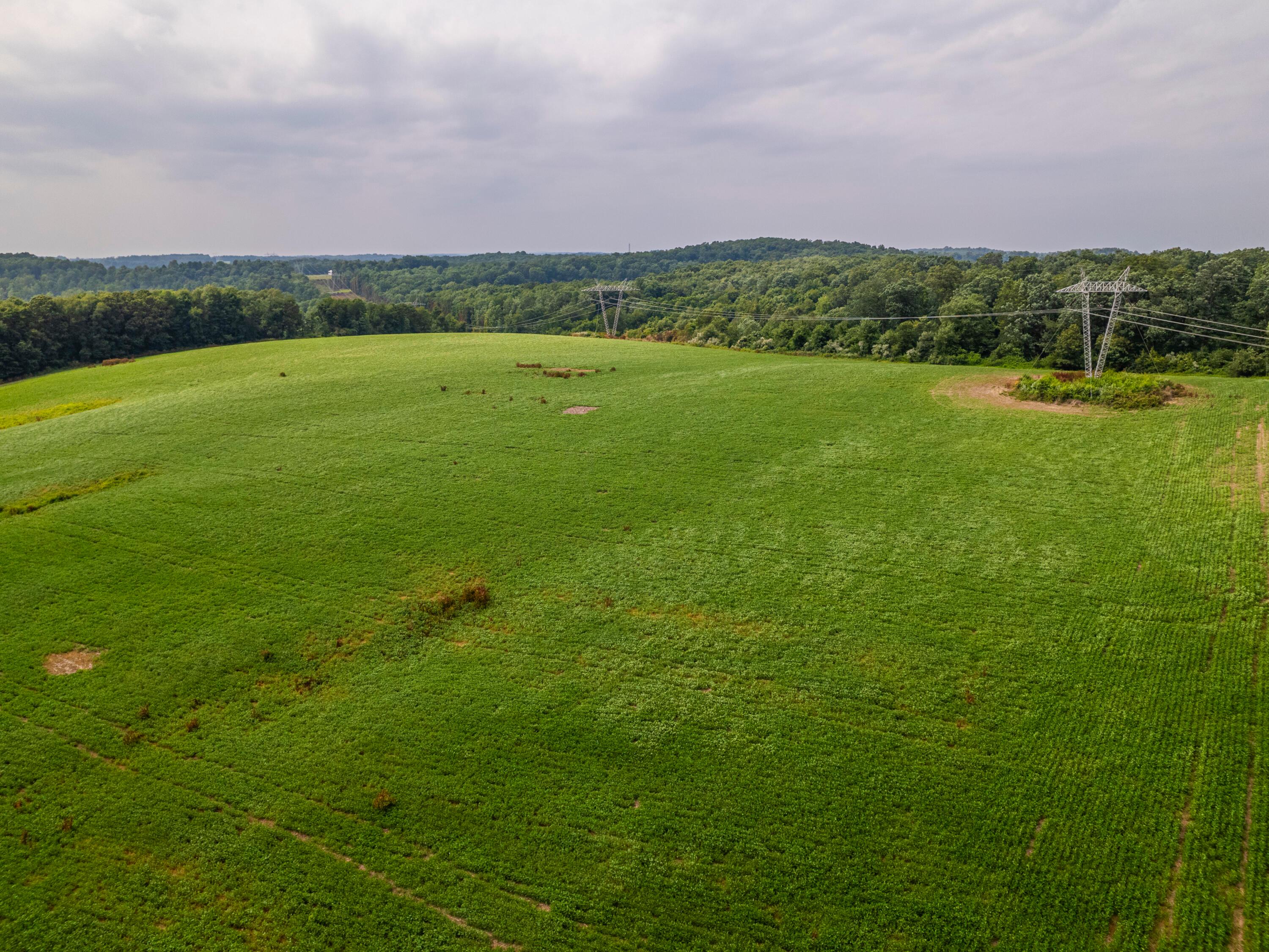 12600 Gilchrist Road Mount Vernon, OH 43050 - Photo 23 of 64 perkins-PRINT_50
