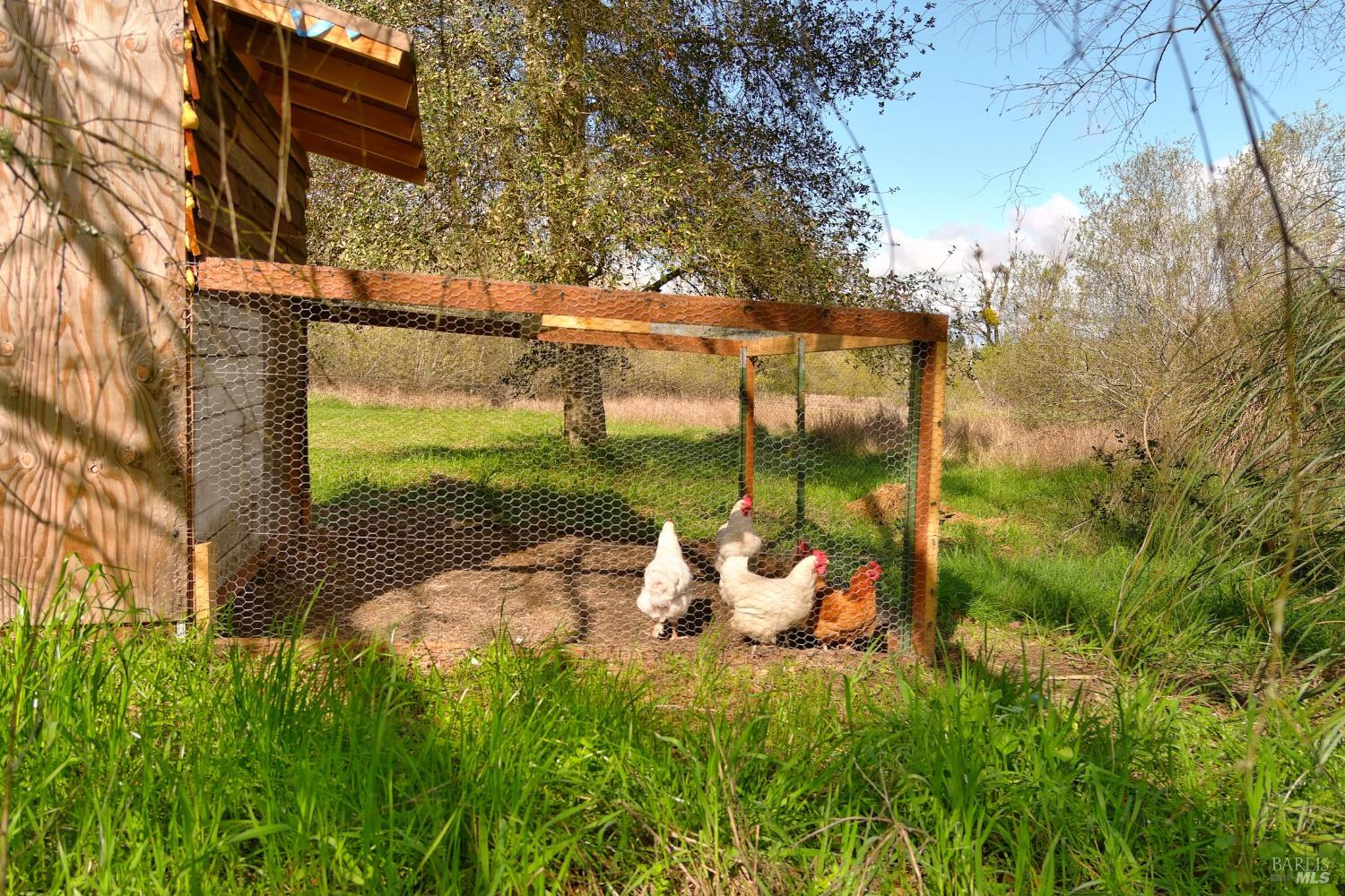 755 Watertrough Road Sebastopol, CA 95472 - Photo 20 of 38