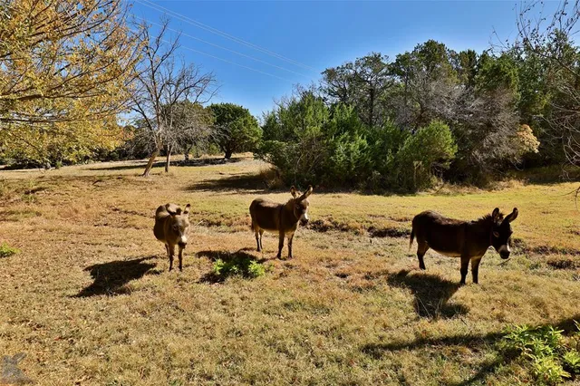 $975,000 | 11694 Highway 277 Street South, Tuscola, TX 79562