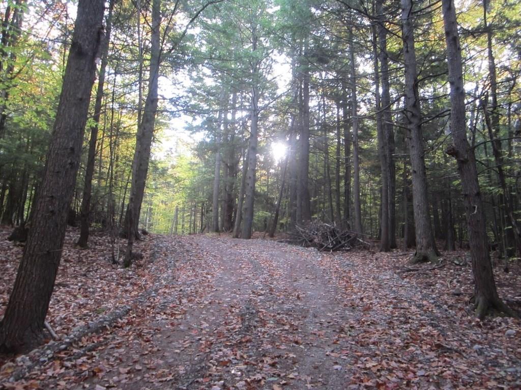 24 Pine Tree Road Litchfield, ME 04350 - Photo 5 of 35 Photo