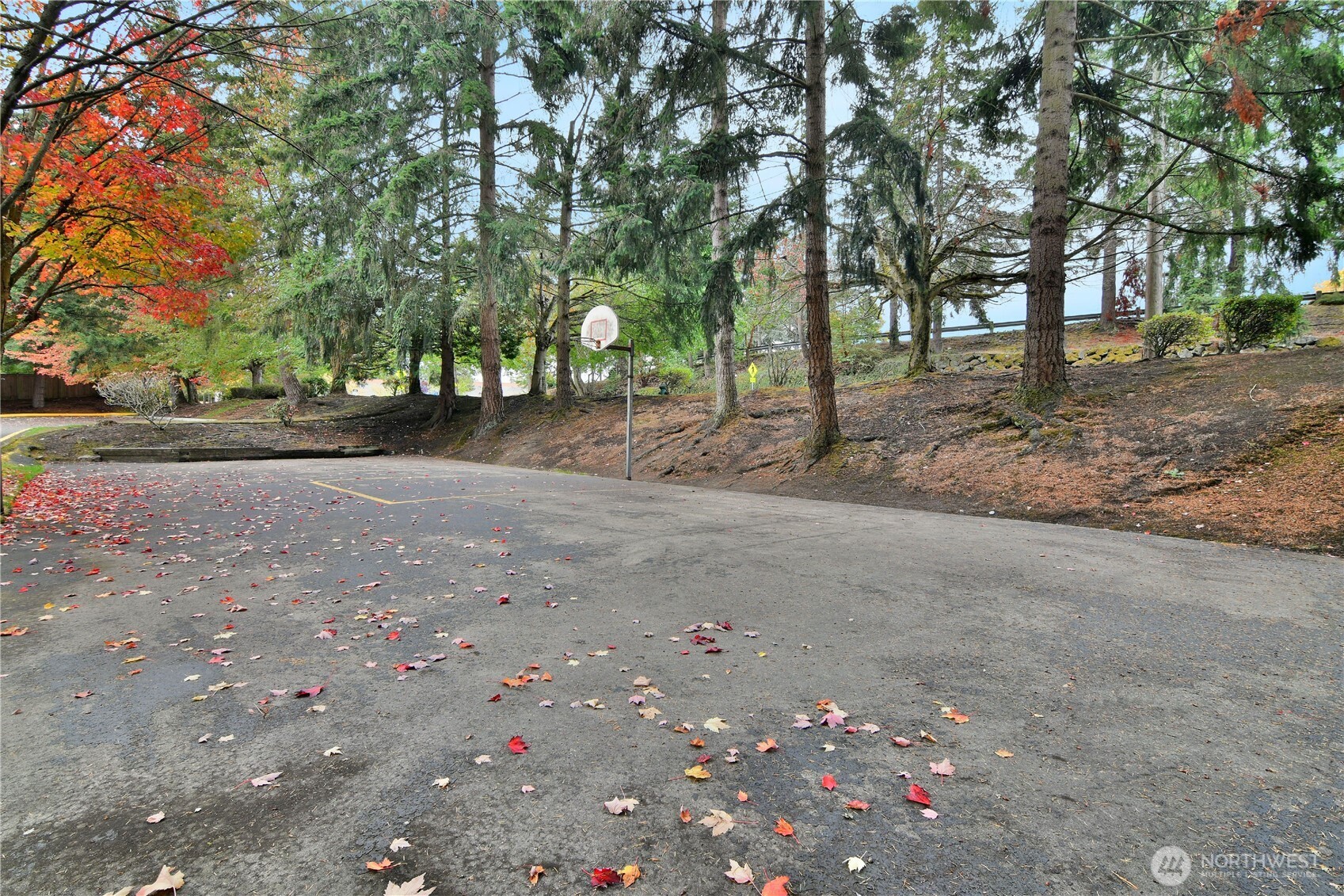 700 North 160th Street, Unit A314 Shoreline, WA 98133 - Photo 22 of 22 a backyard of a house with lots of green space