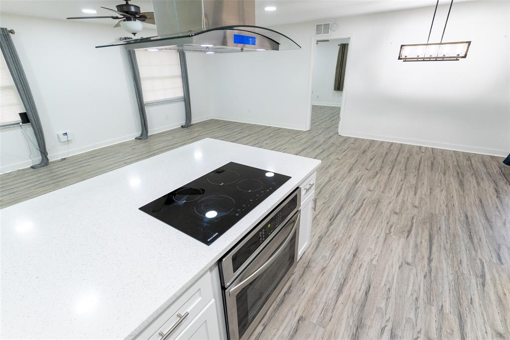 411 Southwest 36th Place Ocala, FL 34471 - Photo 17 of 82