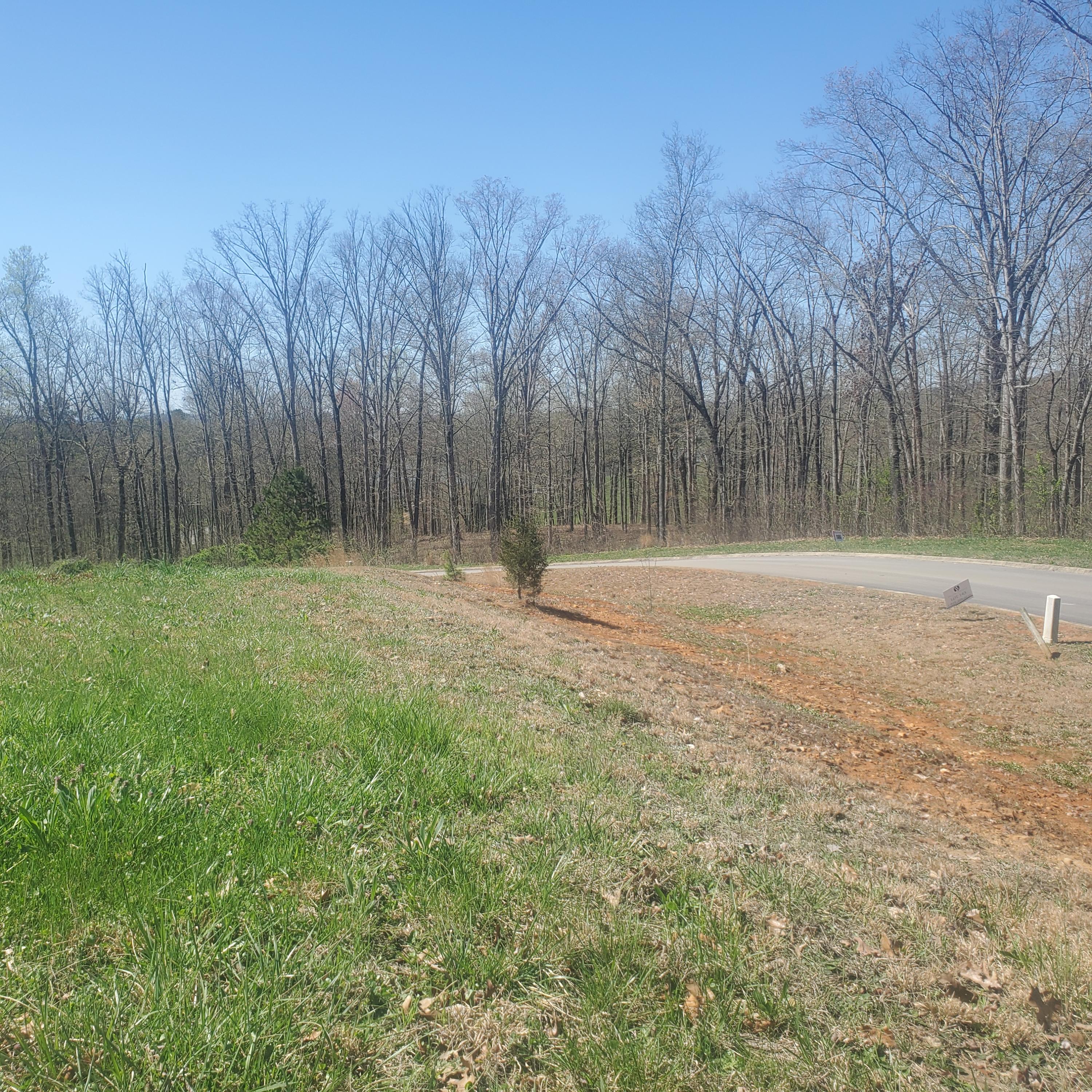 Lot 153 Tumbleweed Trail, Unit 153 Rutledge, TN 37861 - Photo 1 of 25 1