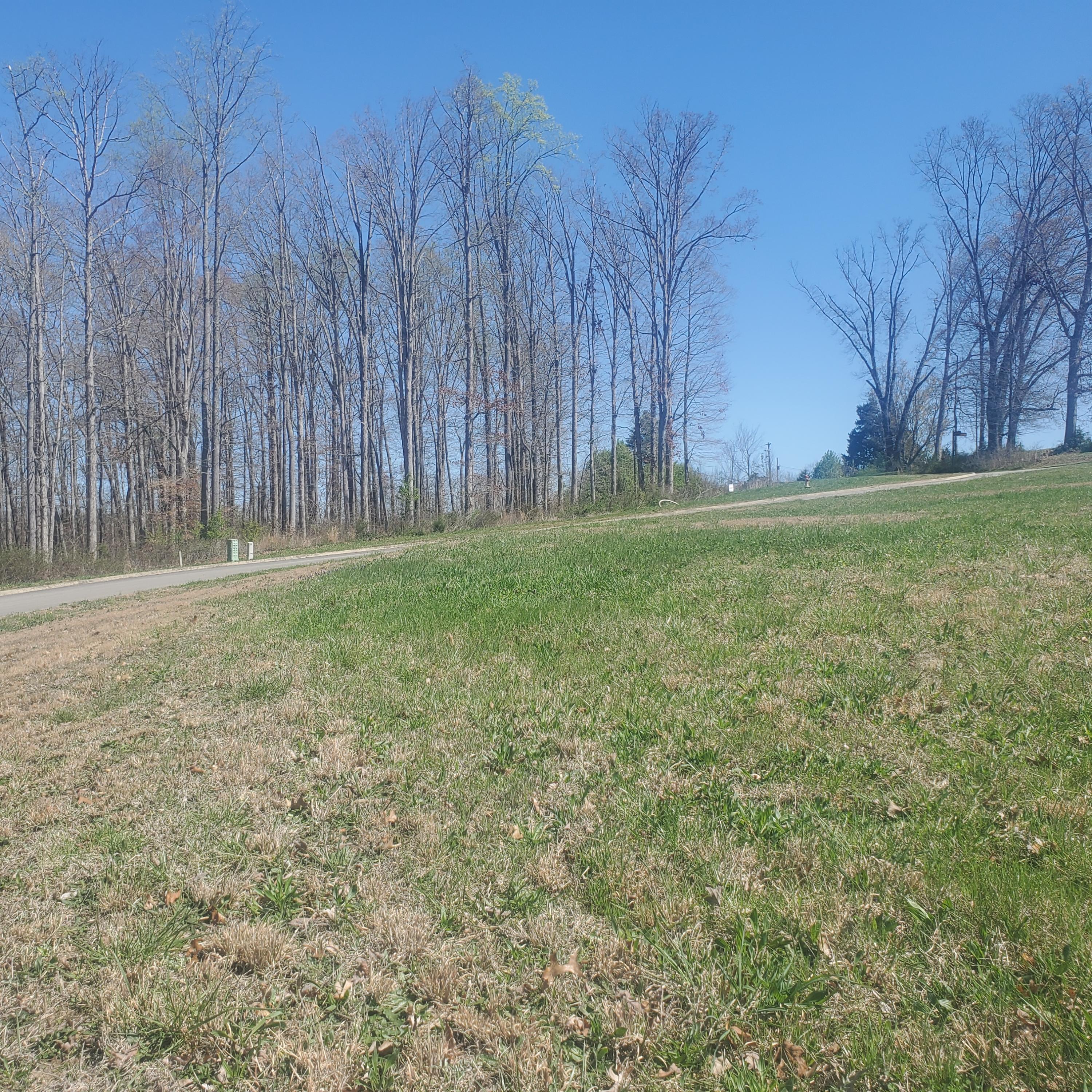 Lot 153 Tumbleweed Trail, Unit 153 Rutledge, TN 37861 - Photo 7 of 25 7