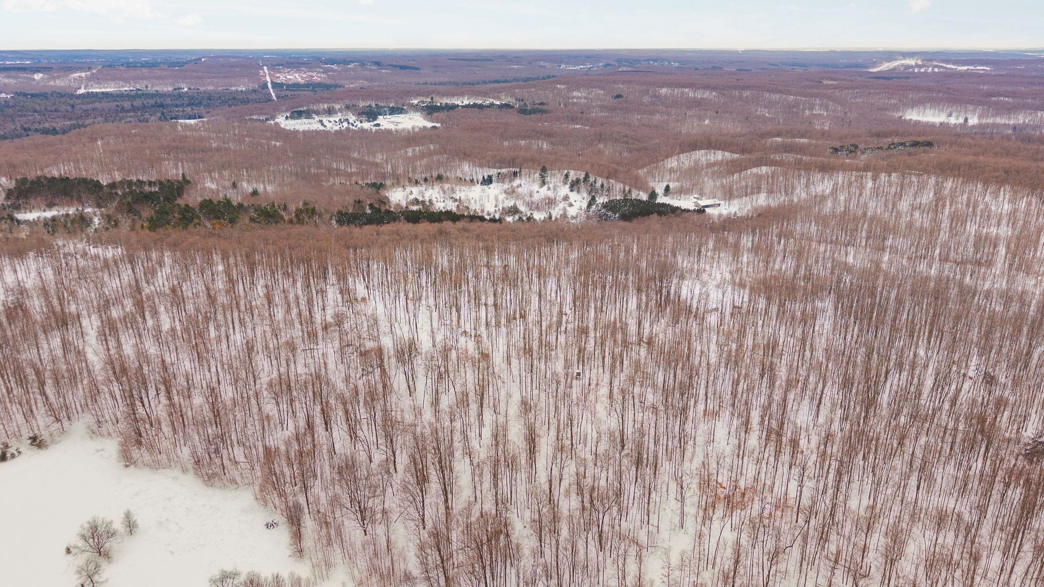 0 Stark Road, Unit LOT: 17 Mancelona, MI 49659 - Photo 12 of 22