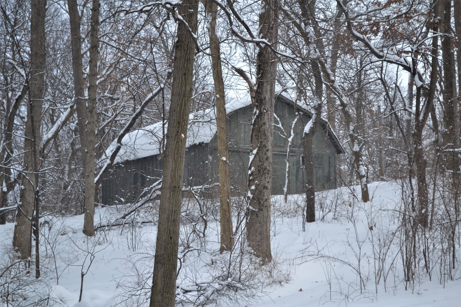 41W417 Farview Road Elburn, IL 60119 - Photo 28 of 29 a view of a yard covered with snow