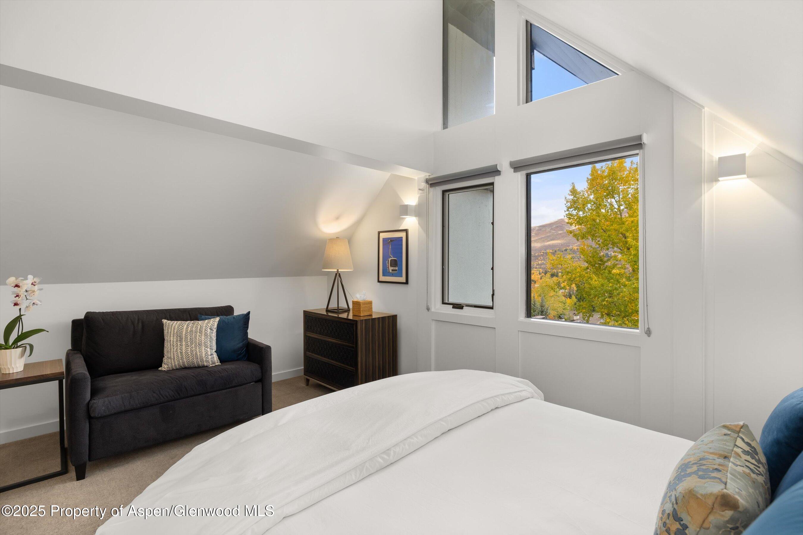 800 South Mill Street, Unit 303C Aspen, CO 81611 - Photo 21 of 32 a bedroom with a bed and a couch next to a window