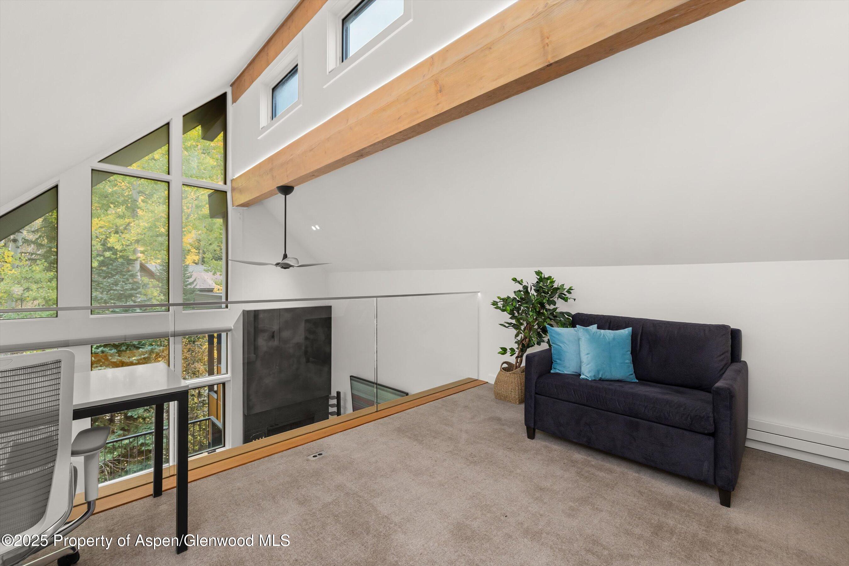 800 South Mill Street, Unit 303C Aspen, CO 81611 - Photo 27 of 32 a living room with furniture and a potted plant