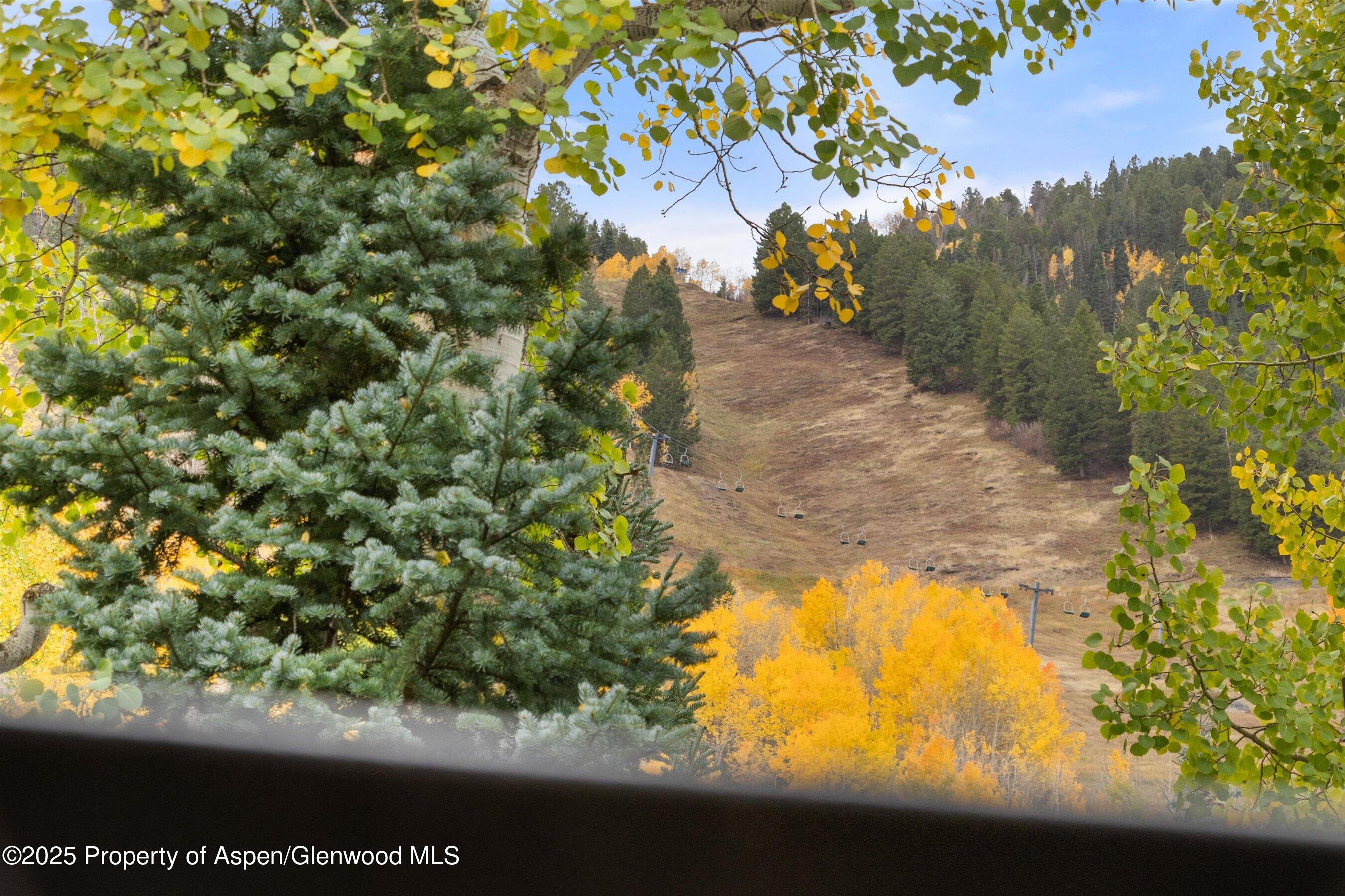800 South Mill Street, Unit 303C Aspen, CO 81611 - Photo 31 of 32 a view of a yard