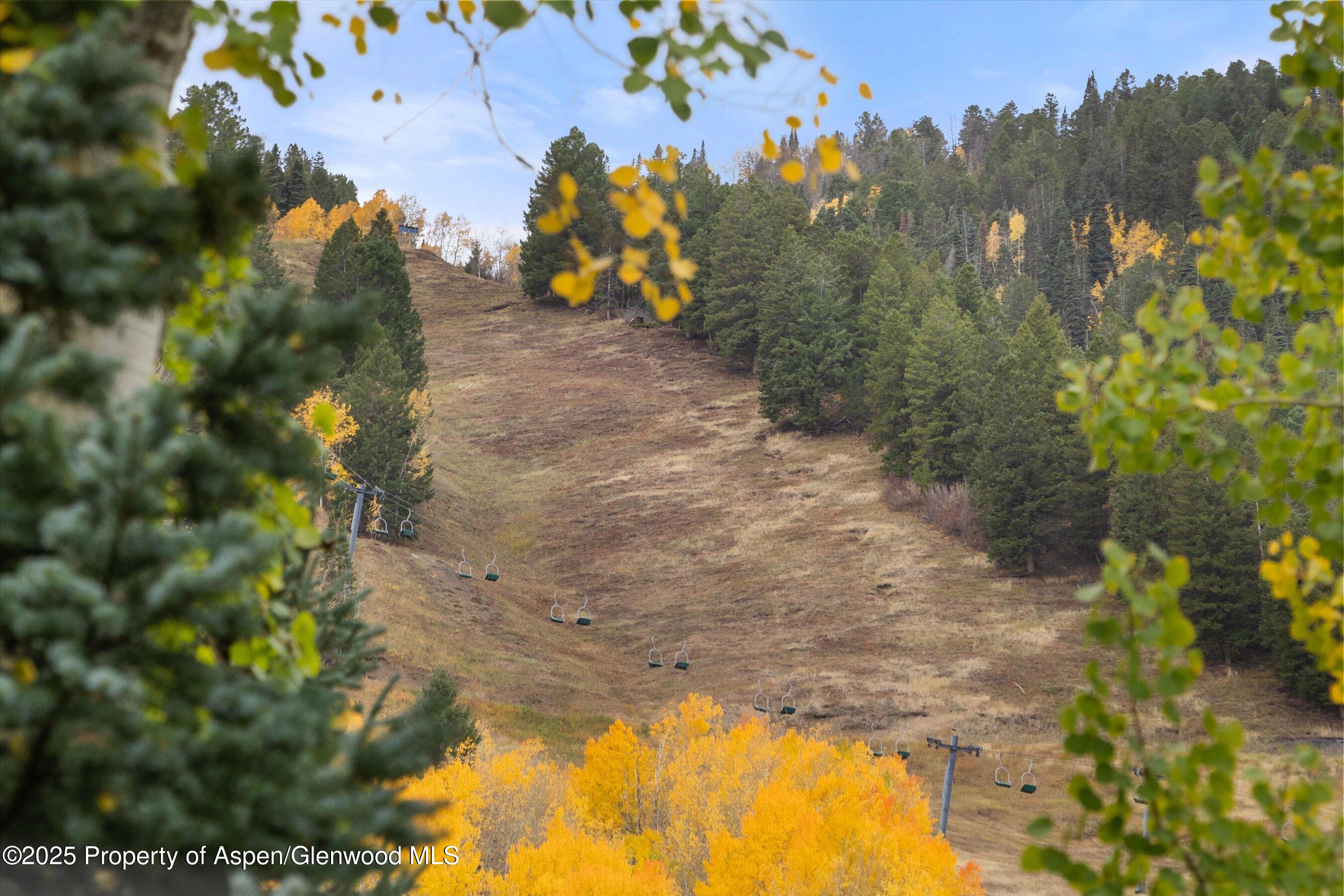 800 South Mill Street, Unit 303C Aspen, CO 81611 - Photo 32 of 32 a view of a yard with mountain view