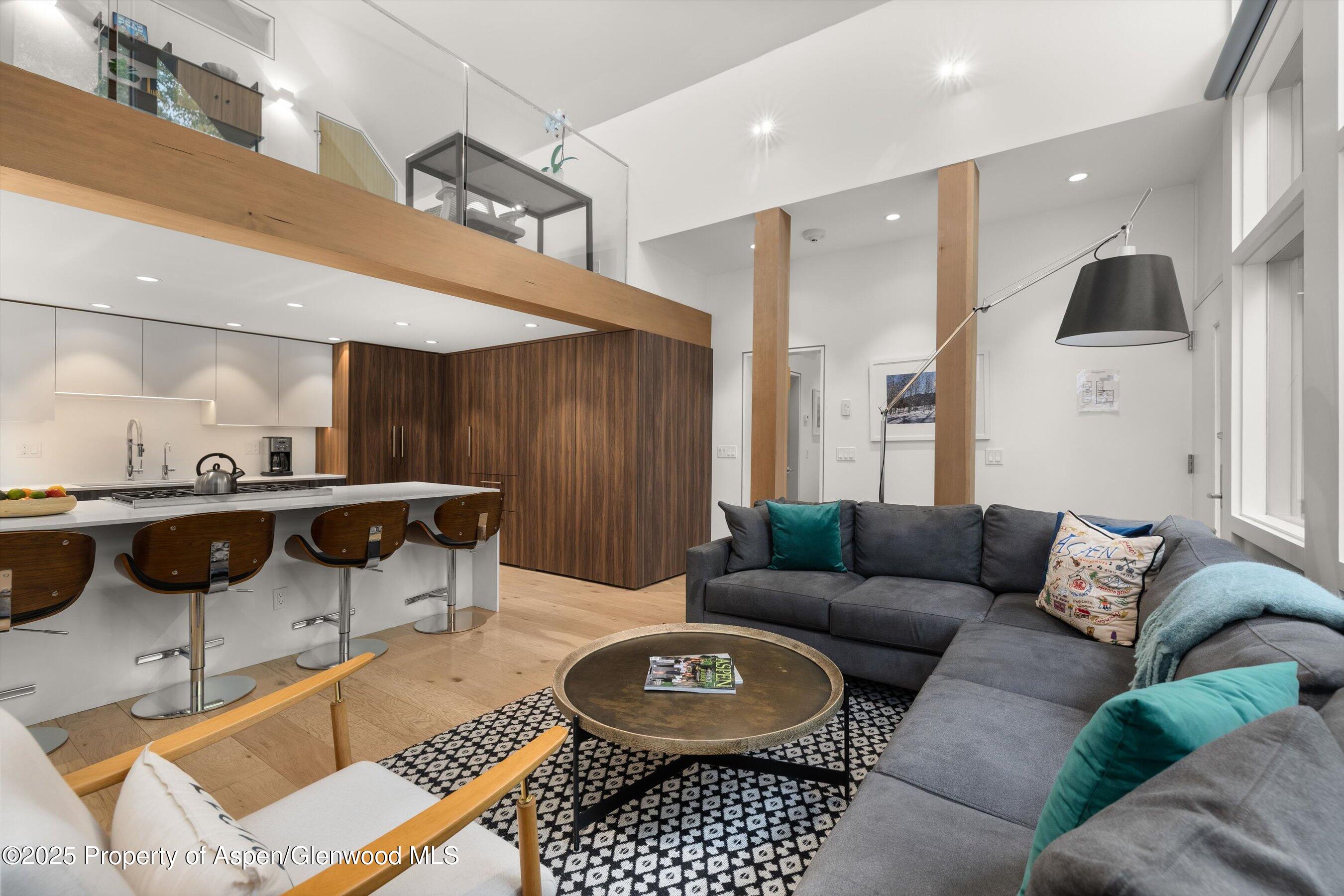 800 South Mill Street, Unit 303C Aspen, CO 81611 - Photo 5 of 32 a living room with furniture and a rug