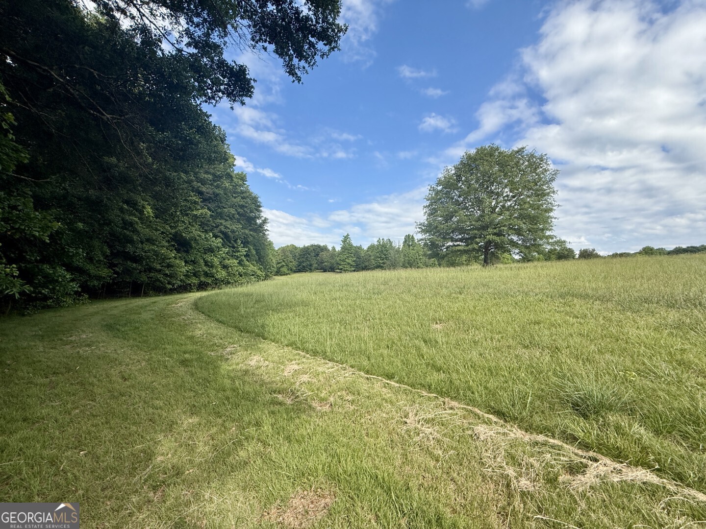 1298 Ray Weaver Road Canon, GA 30520 - Photo 32 of 40