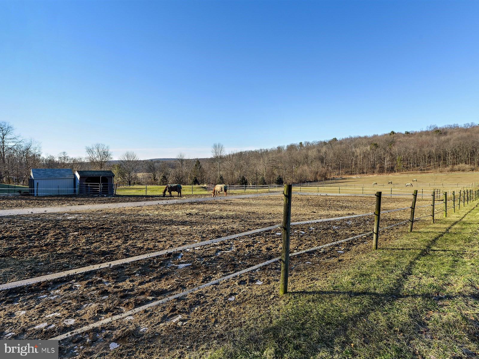 260 Beechnut Road New Ringgold, PA 17960 - Photo 23 of 25 Gallery Image 23