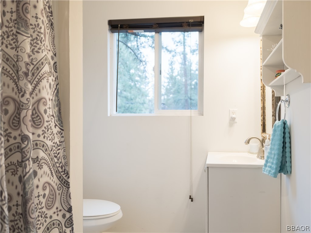 270 Spruce Lane Sugarloaf, CA 92386 - Photo 34 of 39 a bathroom with a sink toilet and shower