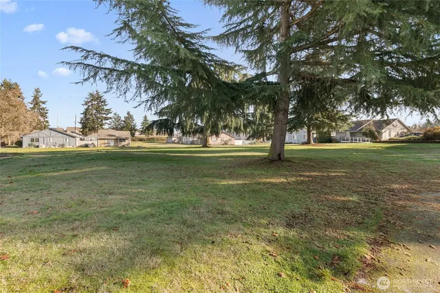 a view of a swimming pool and trees in the background