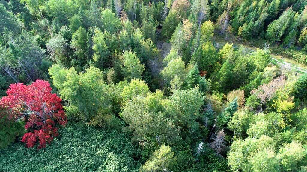 1719 Ludlow Road Houlton, ME 04730 - Photo 42 of 47 maine-ludlow-land-aerial
