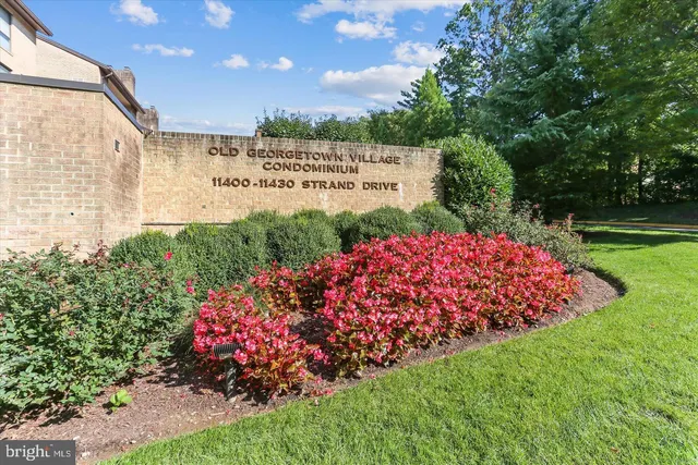 a view of a bunch of flowers in front of house