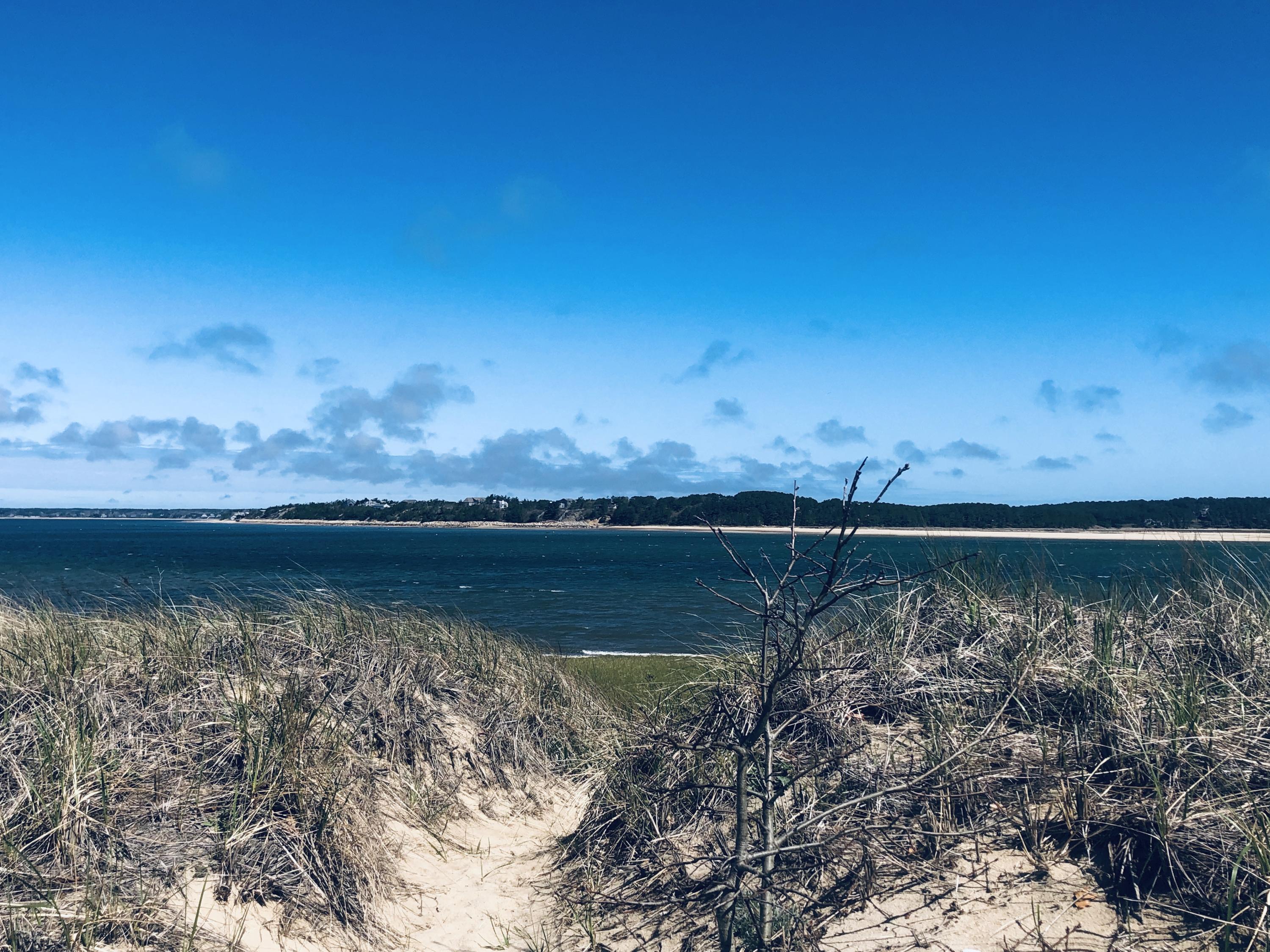 1015 3rd Avenue Wellfleet, MA 02667 - Photo 12 of 16 a view of a lake from a yard