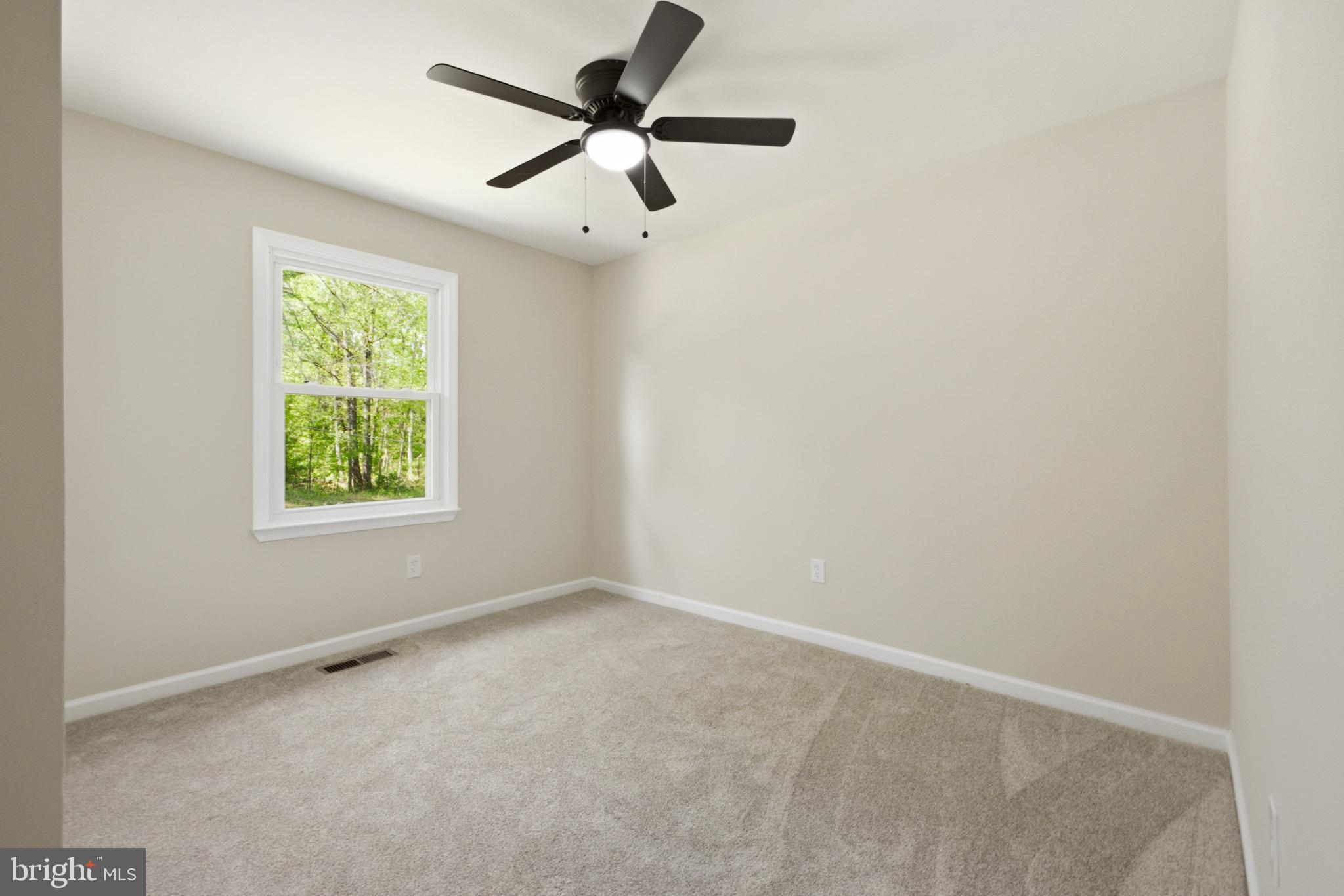 17343 North Merrimac Road Culpeper, VA 22701 - Photo 10 of 21