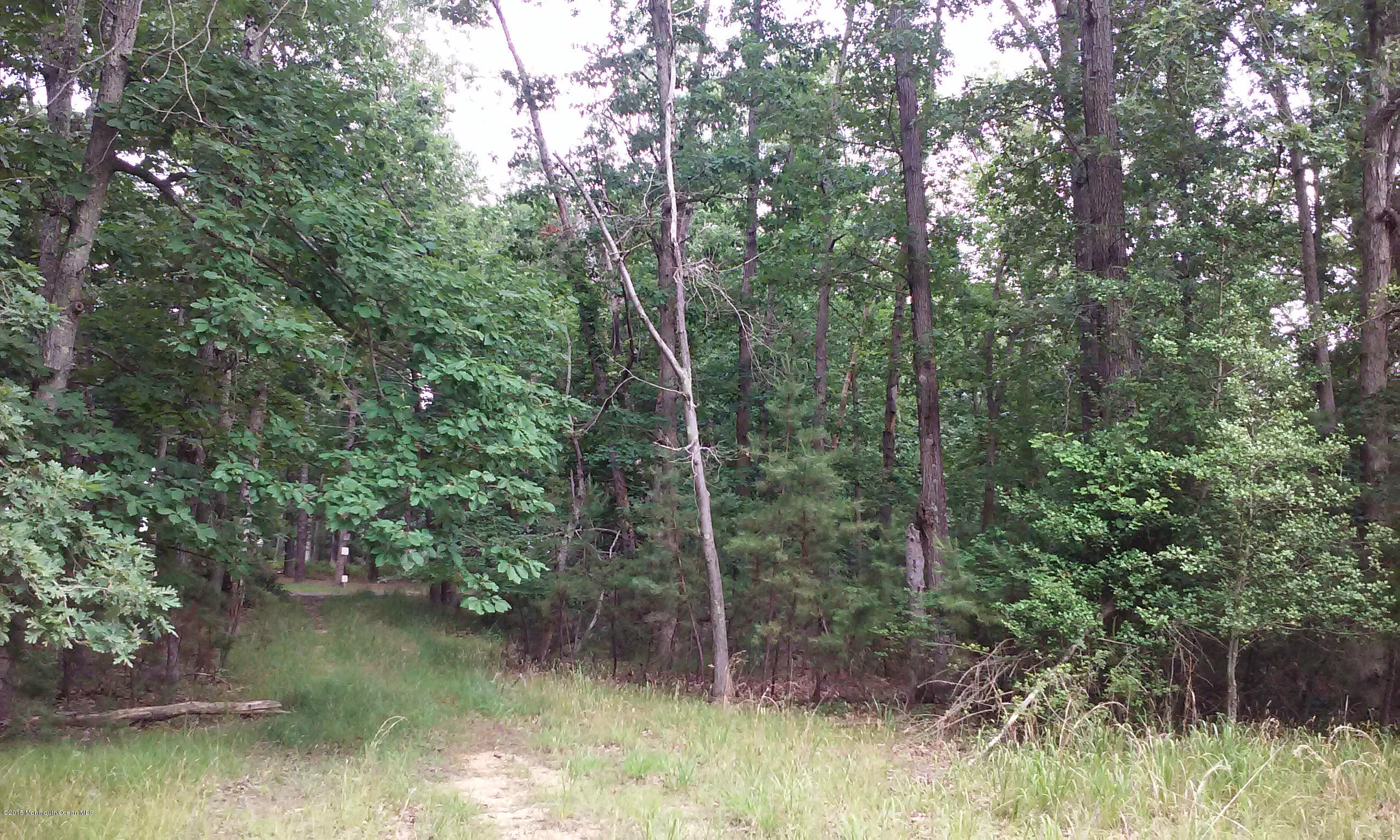 88 Thompson Bridge Road Jackson, NJ 08527 - Photo 2 of 2 047