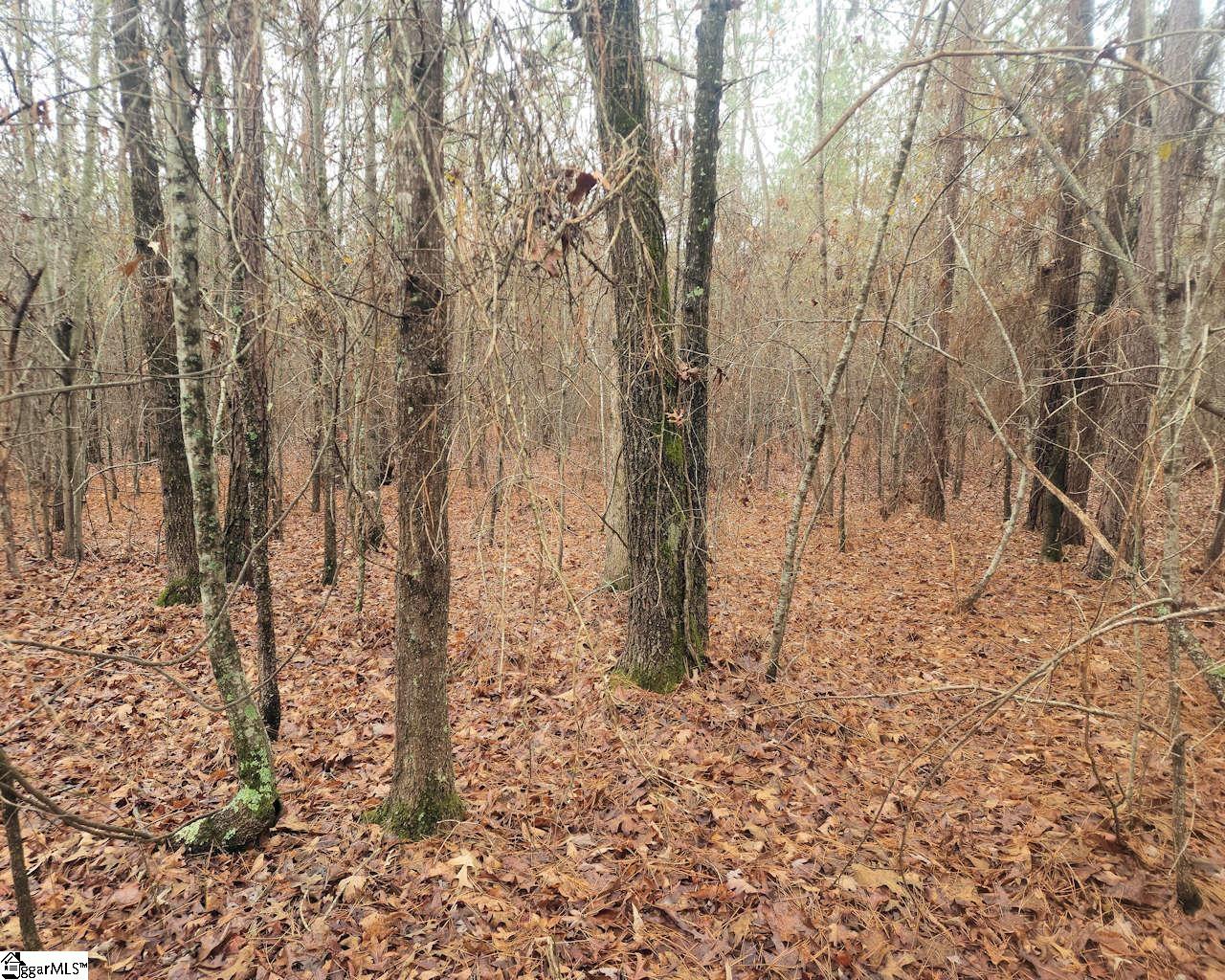 Scott Lane Pelzer, SC 29669 - Photo 15 of 19 Gallery Image 15