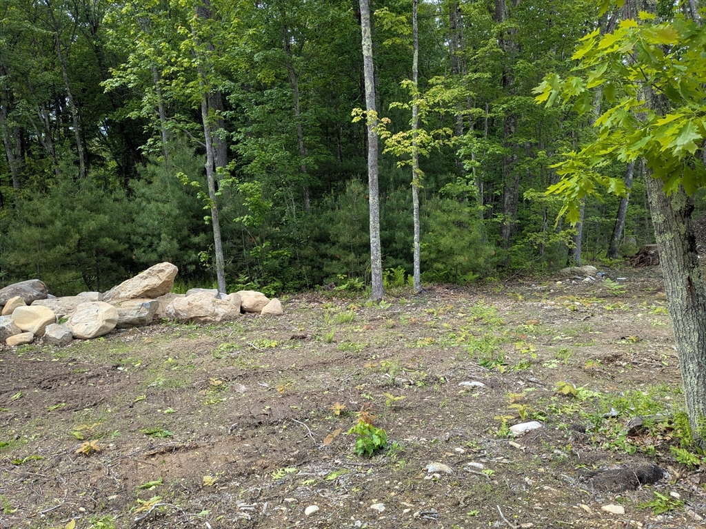 Lot 6 Old Colony Road Princeton, MA 01541 - Photo 4 of 4