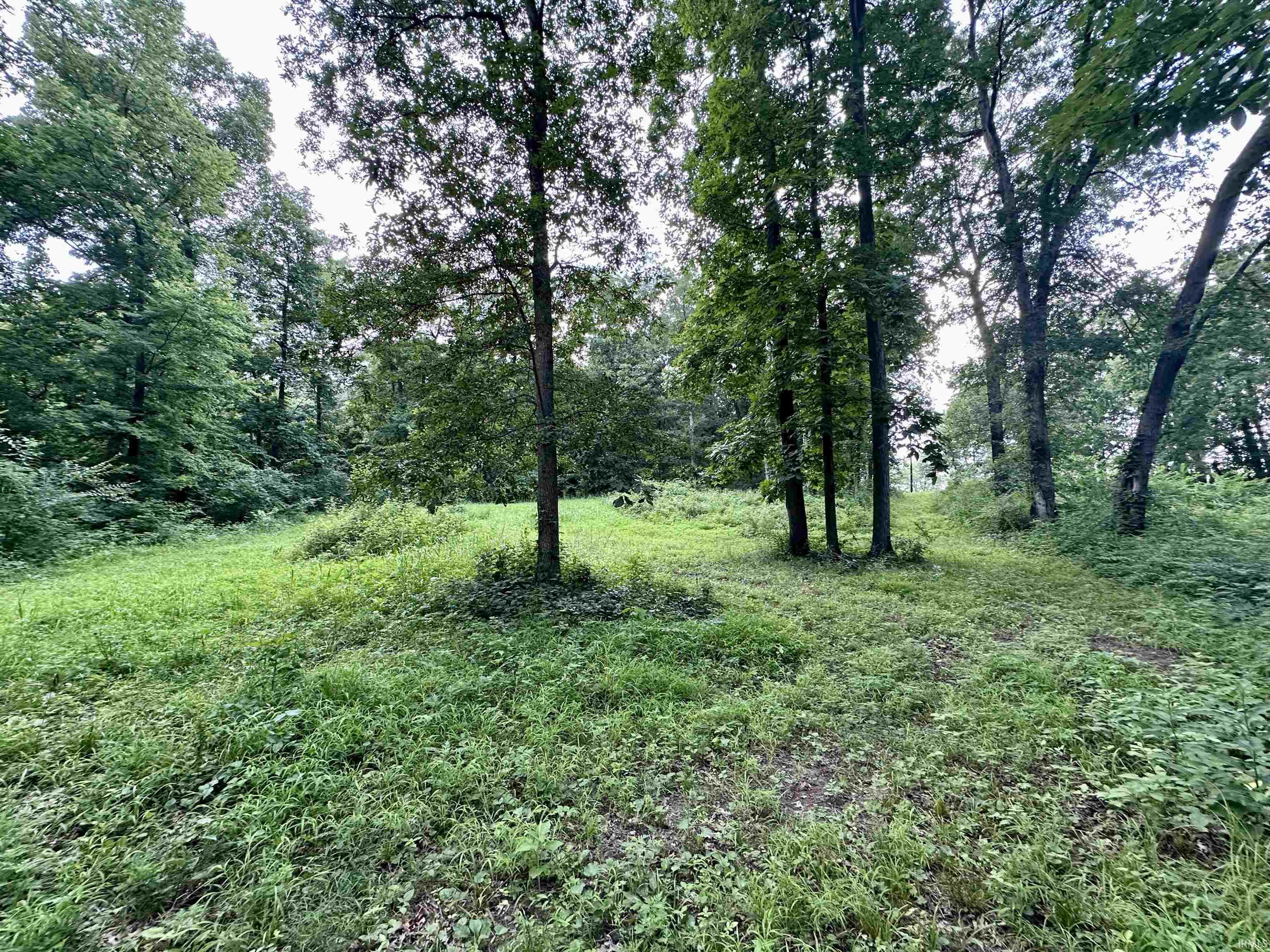 West Bicycle Bridge Road Delphi, IN 46923 - Photo 1 of 14 Gallery Image 1