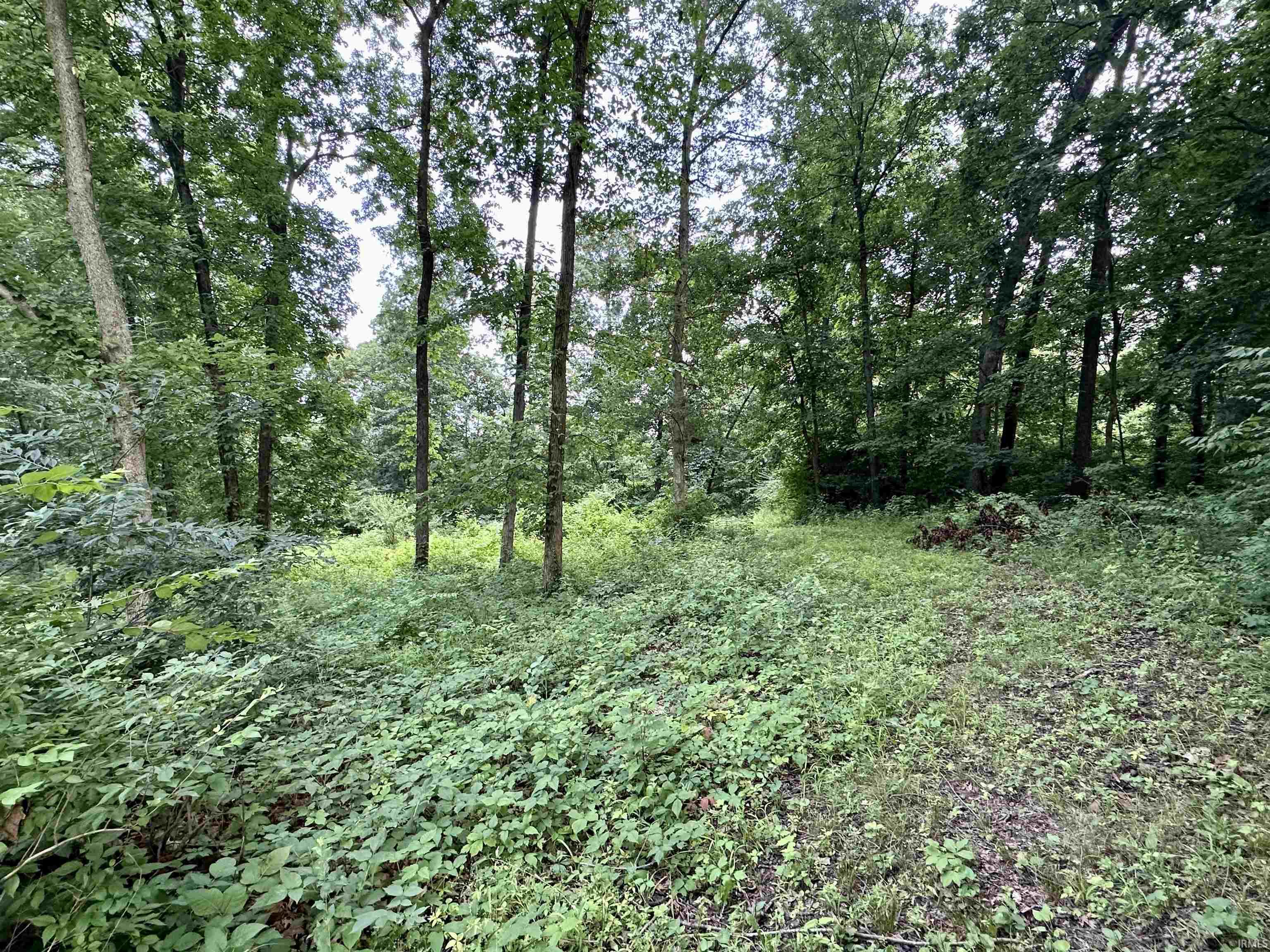 West Bicycle Bridge Road Delphi, IN 46923 - Photo 3 of 14 Gallery Image 3