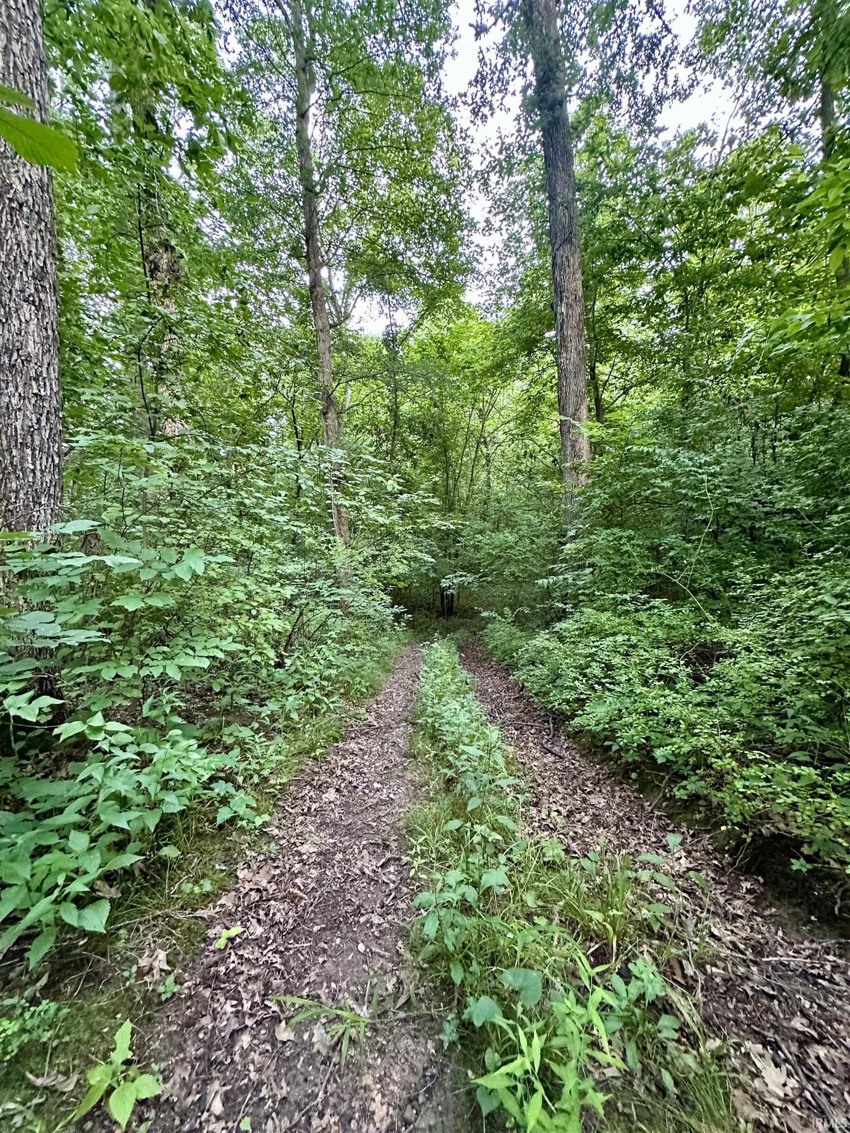 West Bicycle Bridge Road Delphi, IN 46923 - Photo 4 of 14 Gallery Image 4