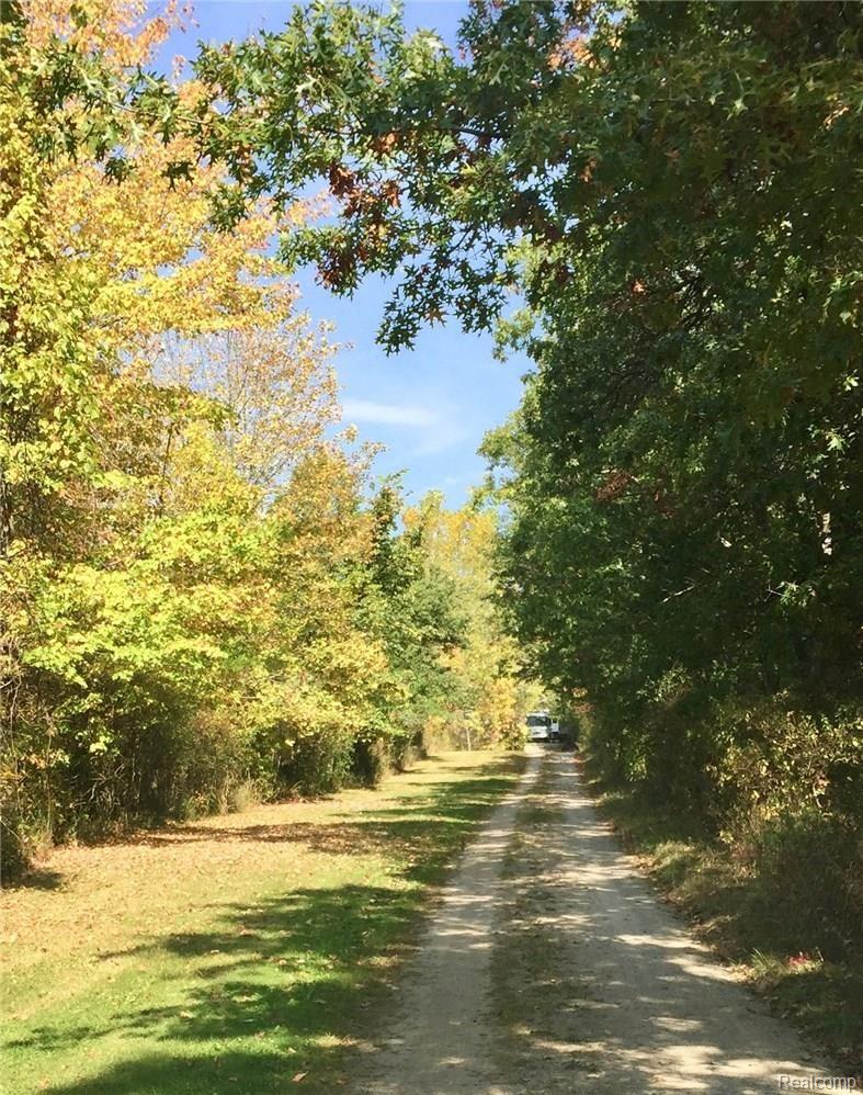 10445 Gordon Road Fenton, MI 48430 - Photo 14 of 16 Tree Lined Driveway