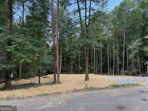 a house with trees in the background