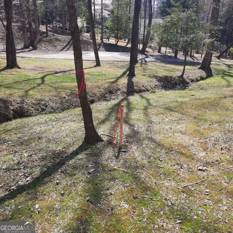 a view of a yard with a slide