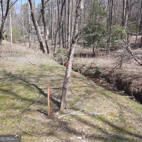 a view of a backyard of a house