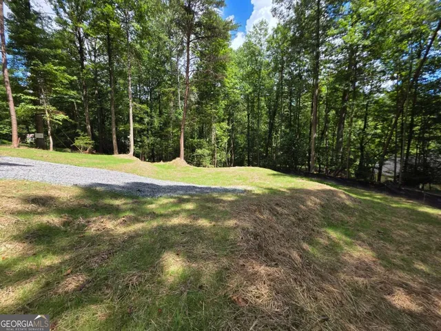 a view of a yard with a trees
