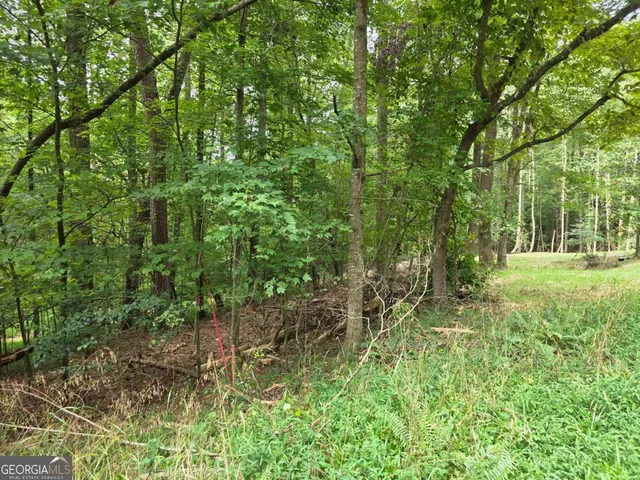 a view of outdoor space and trees