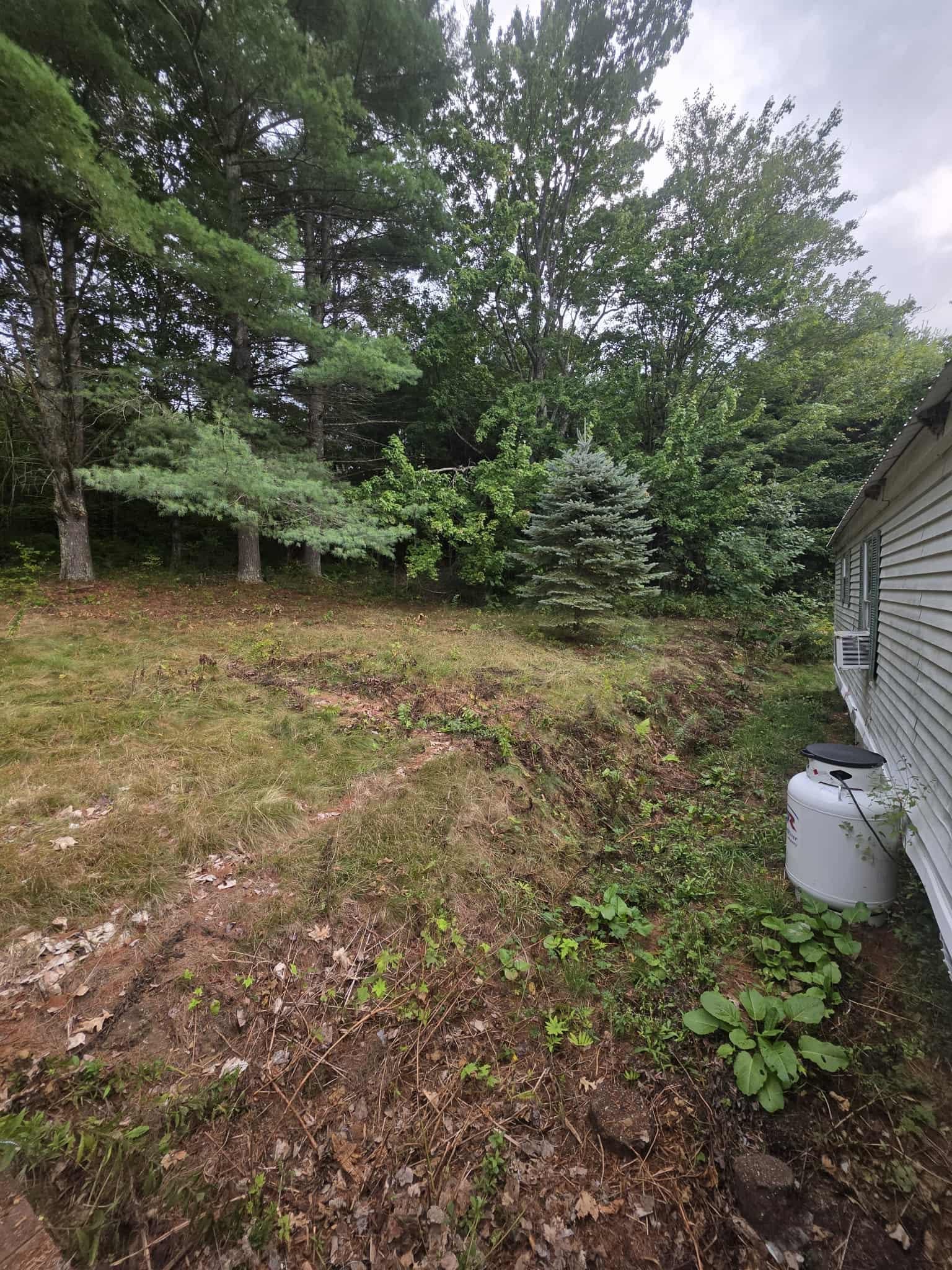 1842 County Road Haverhill, NH 03774 - Photo 4 of 13