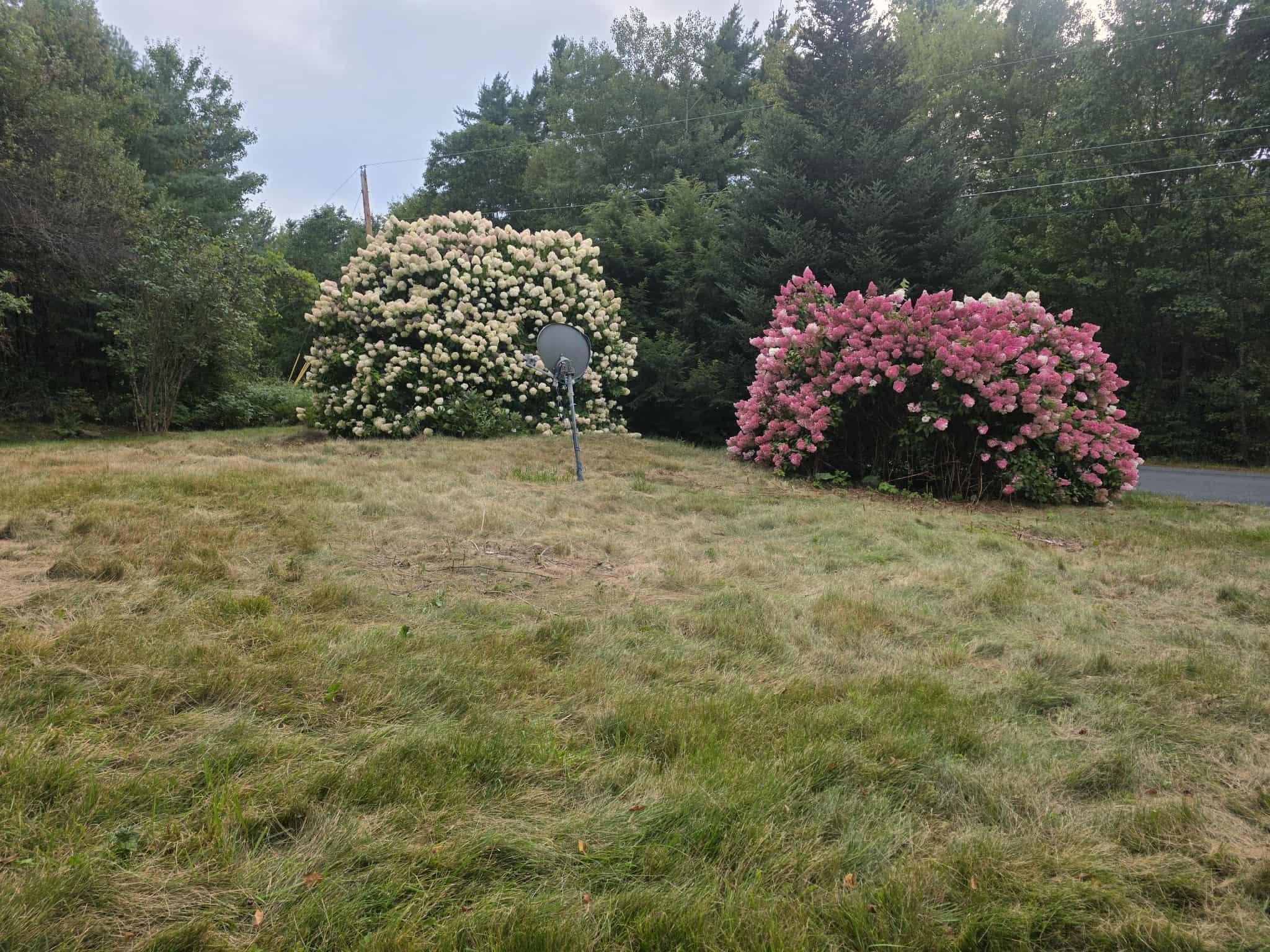 1842 County Road Haverhill, NH 03774 - Photo 5 of 13