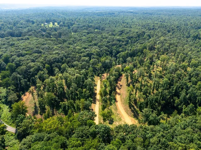 an aerial view of forest