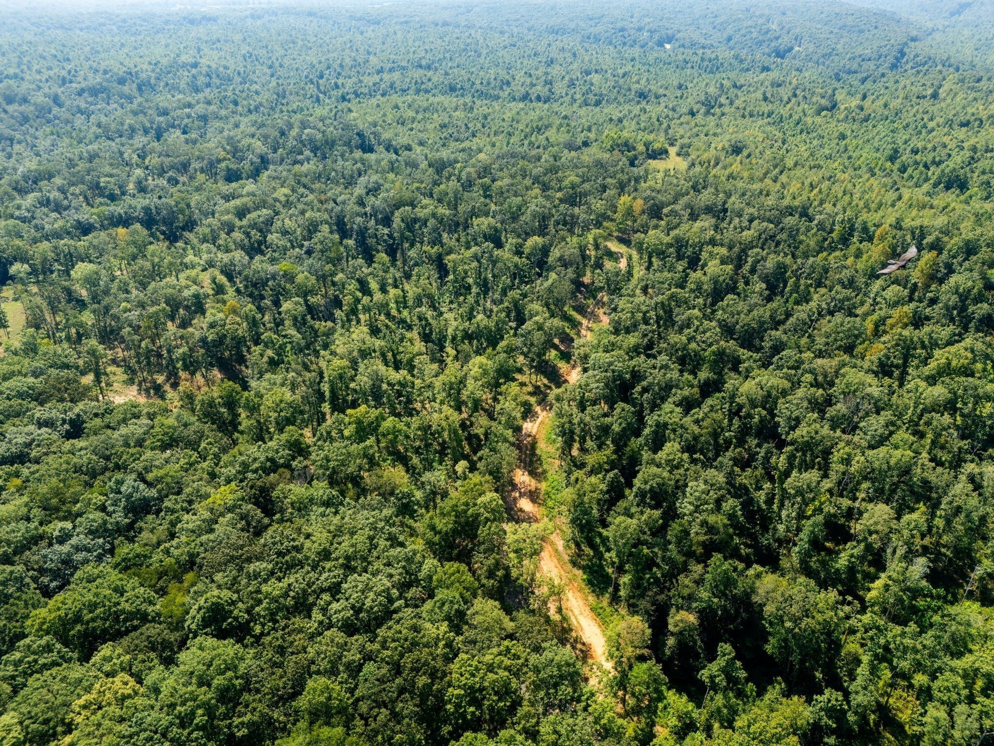 715 Dyer Road Hurricane Mills, TN 37078 - Photo 14 of 36 a view of a large yard with lots of green space