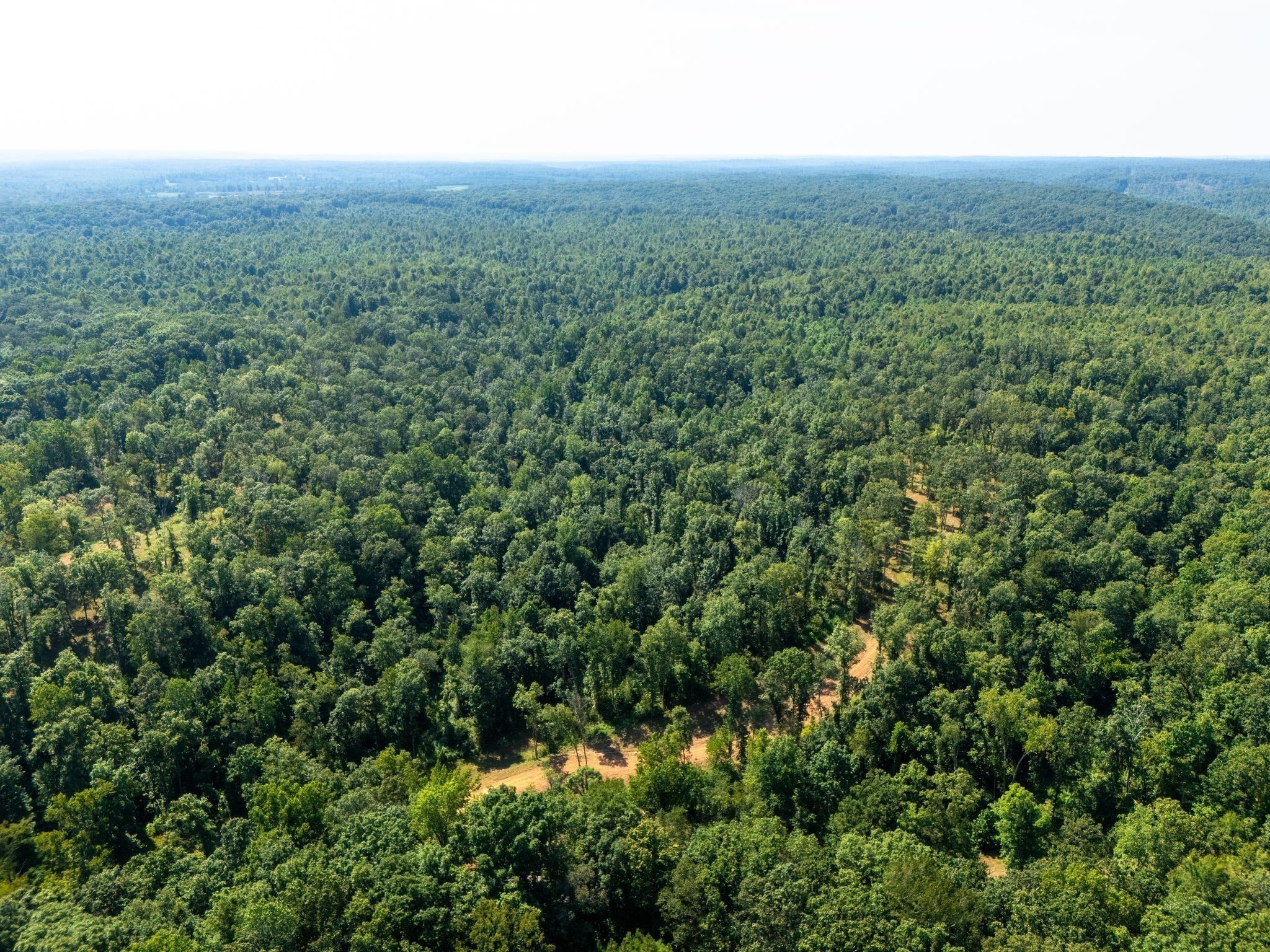 715 Dyer Road Hurricane Mills, TN 37078 - Photo 6 of 36 an aerial view of houses covered in trees